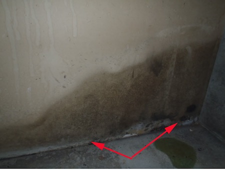 Cumming Mold Inspection Reveals Mold On Wall